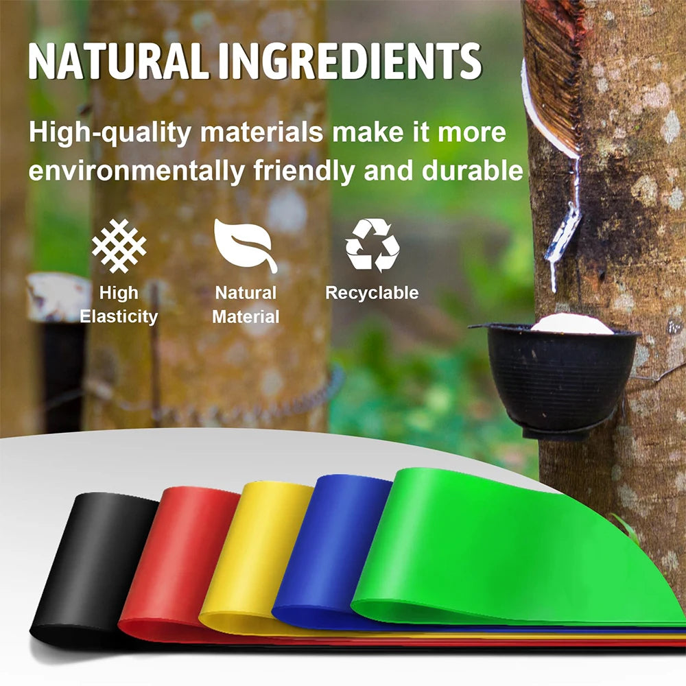 Resistance Bands for Working Out Elastic Exercice Loop Band for Pilates Yoga Starter Set of 5 for Booty Legs Stretch Flexbands